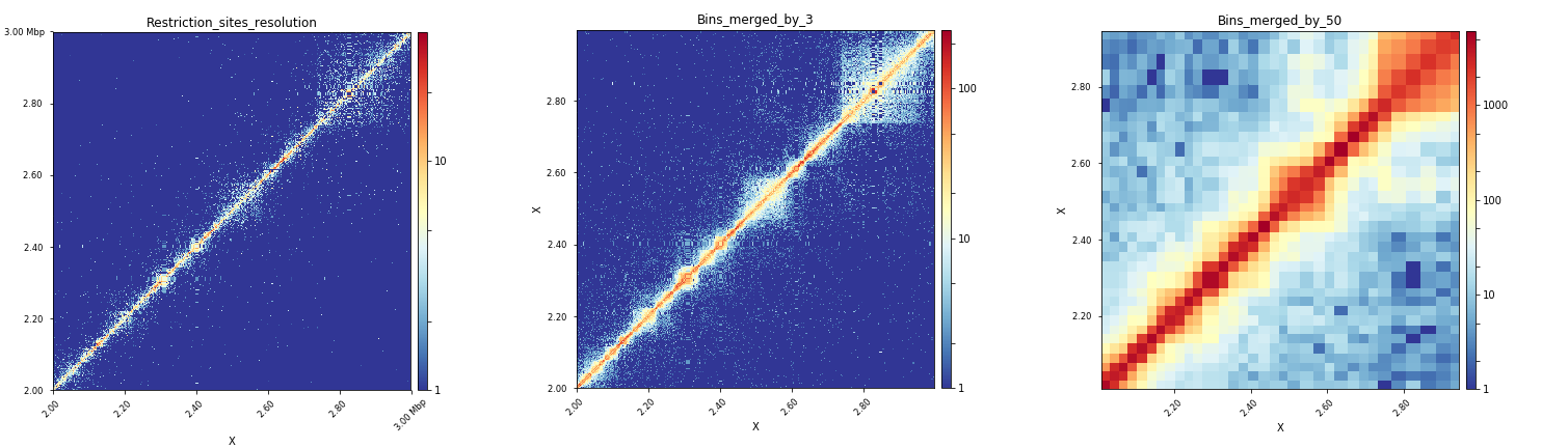 ../../_images/hicMergeMatrixBins_Xregion.png