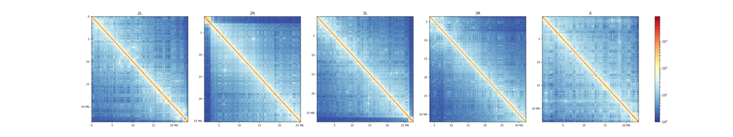 ../../_images/hicPlotMatrix_perChromosome.png